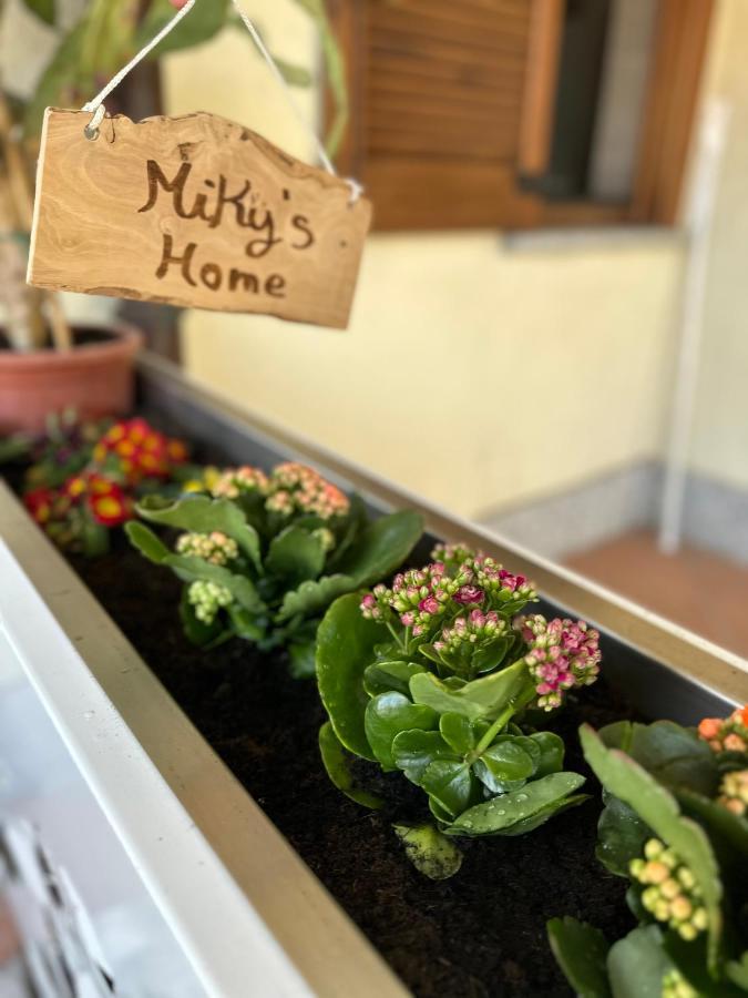 Miky'S Home Leggiuno Экстерьер фото